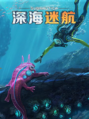 广州哪里批发内衣便宜
